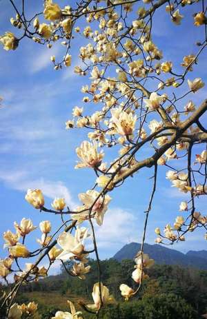 压不住怒火时，怎么办